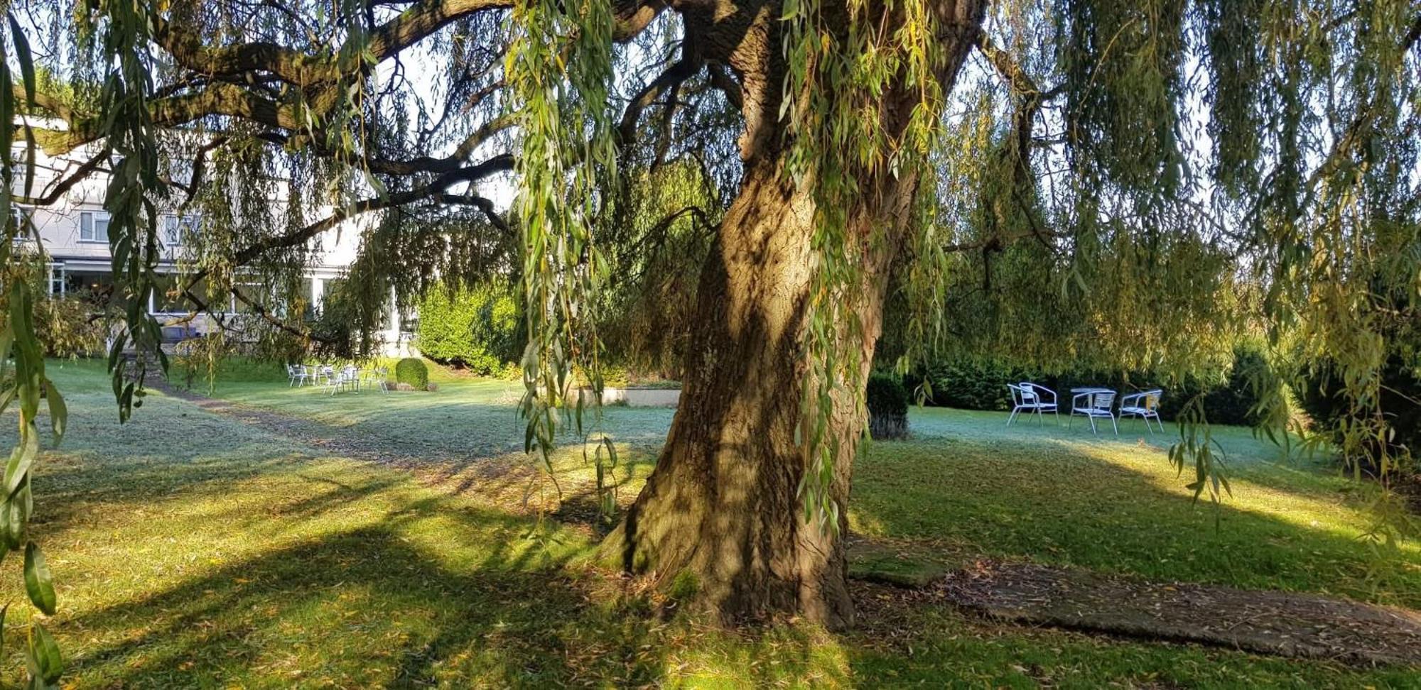 The Paddocks Hotel Symonds Yat Bagian luar foto